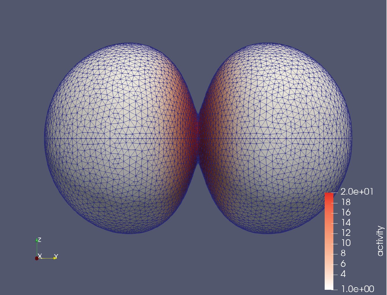 Cell biomechanics : a collaboration with Hudson Borja da Rocha and Hervé Turlier from Collège de France