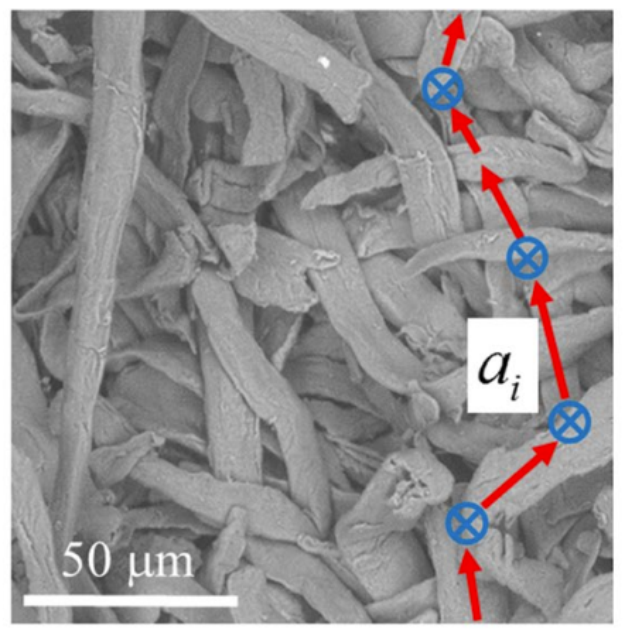 Fast transport diffusion of bound water in cellulose fiber network