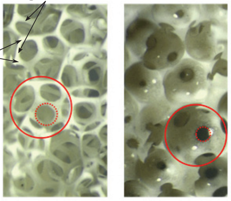 Close-up of an open-cell solid foam