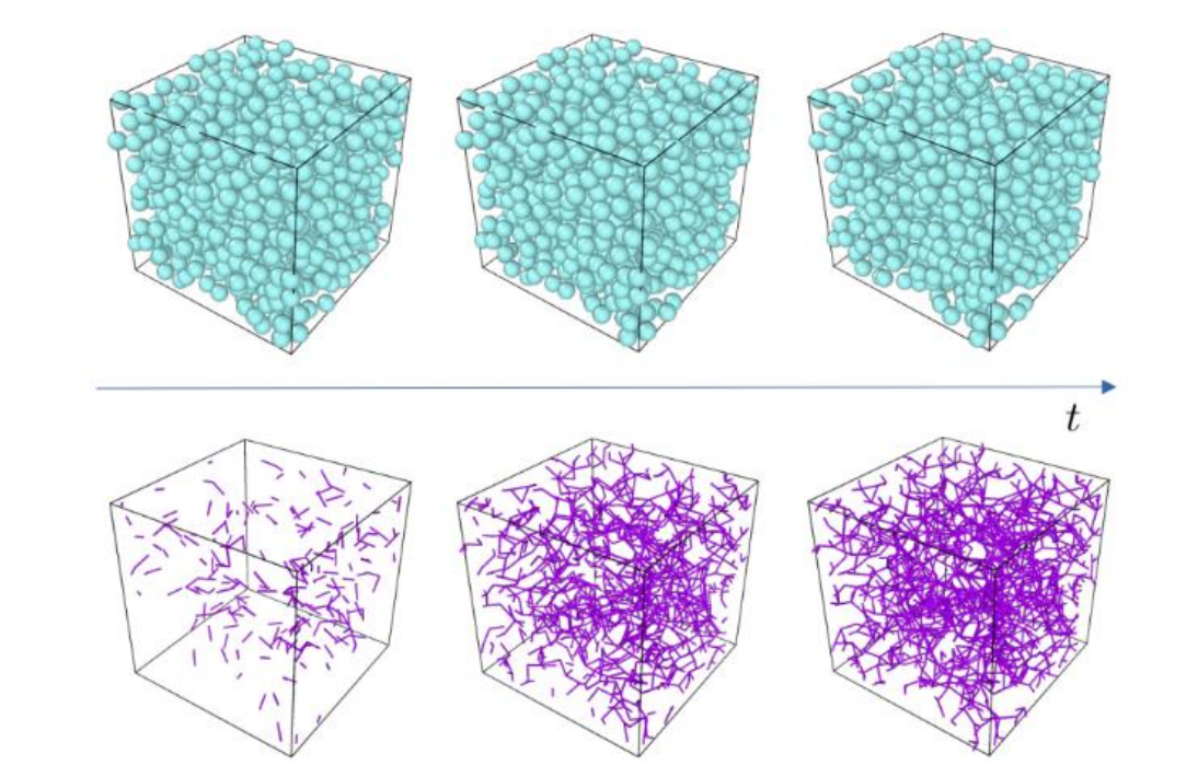 Numerical Simulation of an Aging Colloidal Suspension (top : particle positions, bottom : particle contacts)