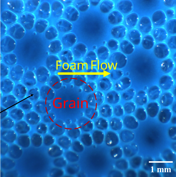 Foam coarsening under flow through a granular (porous) medium.