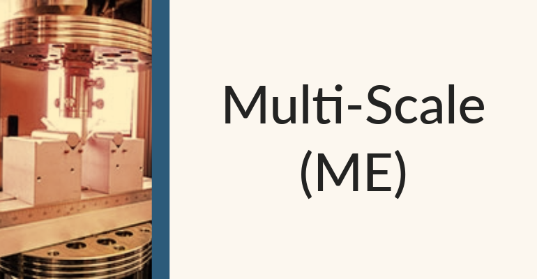 Multi-Scale (ME)