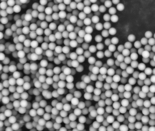 1µm silica beads as seen by a SEM