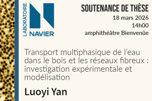 Soutenance de thèse – Luoyi Yan