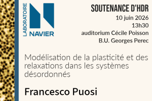 Soutenance HDR – Francesco Puosi